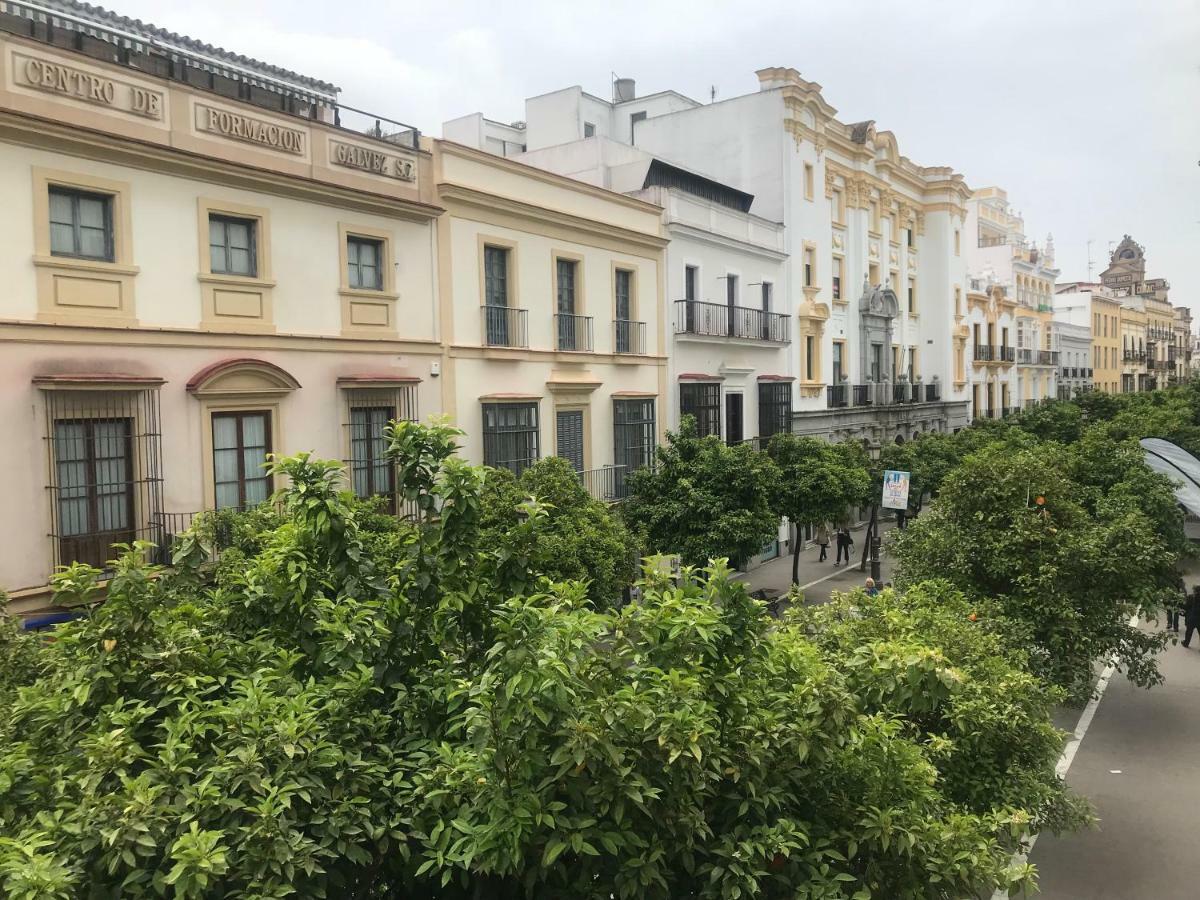 Apartamento Centro Jerez Apartment Херес де ла Фронтера Екстериор снимка